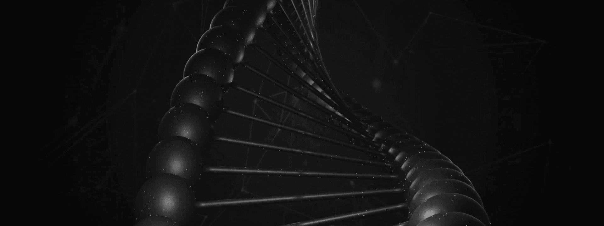 Banner Content Background